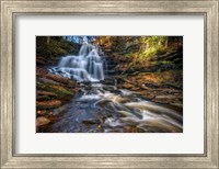 Ricketts Glen Erie Falls Fine Art Print