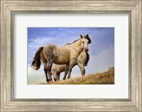 Wild Horses Fine Art Print