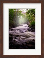 Spring Flow at Duck Brook Fine Art Print