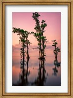 Pink Twilight on Lake Maurepas Fine Art Print