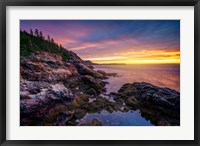 Morning Glow from Otter Cliff Fine Art Print
