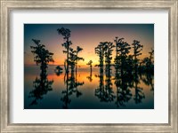Dawn on Lake Maurepas Fine Art Print