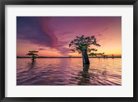 Atchafalaya Sunset Fine Art Print