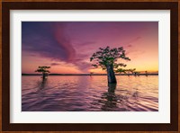 Atchafalaya Sunset Fine Art Print