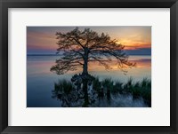 Dusk on Currituck Sound Fine Art Print