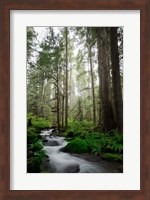 Woodland Cascades Fine Art Print