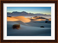 Mesquite Dunes Fine Art Print