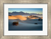 Mesquite Dunes Fine Art Print