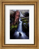 In The Hollow Fine Art Print