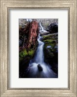 In The Hollow Fine Art Print