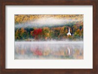 Autumn in New Hampshire Fine Art Print