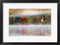Autumn in New Hampshire Fine Art Print