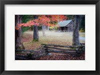 Autumn at Carter Shields Cabin Fine Art Print