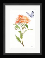 Wild for Wildflowers II Fine Art Print
