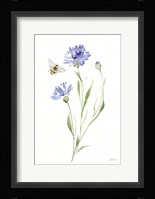Wild for Wildflowers III Framed Print
