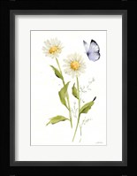 Wild for Wildflowers IV Framed Print