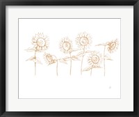 Sunshine Seeds III Fine Art Print