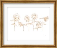 Sunshine Seeds III Fine Art Print