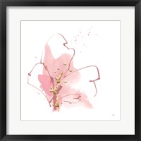 Floral Blossom IV Framed Print