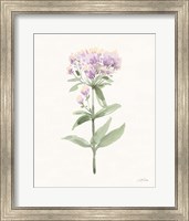 Flowers of the Wild II Pastel Fine Art Print