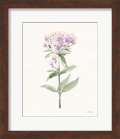 Flowers of the Wild II Pastel Fine Art Print