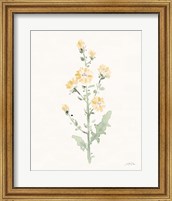 Flowers of the Wild III Pastel Fine Art Print