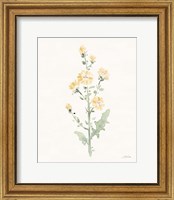 Flowers of the Wild III Pastel Fine Art Print