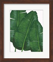 Emerald Banana Leaves II Fine Art Print