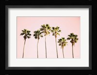 Summer V Pink Fine Art Print