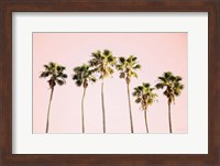 Summer V Pink Fine Art Print