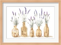 Lavender in Amber Glass Fine Art Print