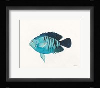 Ocean Life I Framed Print