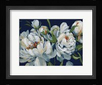 Peony Season I Navy Fine Art Print