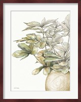 Potted Leaves II Fine Art Print