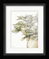 Potted Leaves II Framed Print