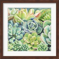 Succulents Fine Art Print