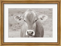 Dairy Barn Neutral Fine Art Print
