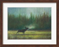 Voice of the Wild Fine Art Print