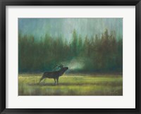 Voice of the Wild Fine Art Print