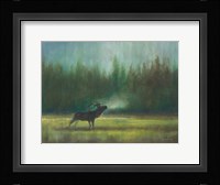 Voice of the Wild Fine Art Print