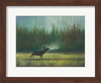 Voice of the Wild Fine Art Print