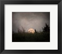 The Prairie Moon Fine Art Print