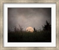 The Prairie Moon Fine Art Print