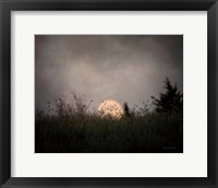 The Prairie Moon Framed Print