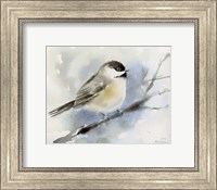Winter Chickadee Fine Art Print