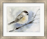 Winter Chickadee Fine Art Print
