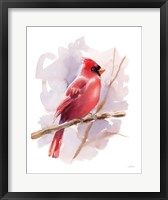 Winter Cardinal Fine Art Print