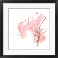 Floral Blossom III Framed Print