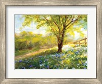 Field of Bluebells Fine Art Print