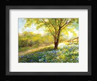 Field of Bluebells Framed Print